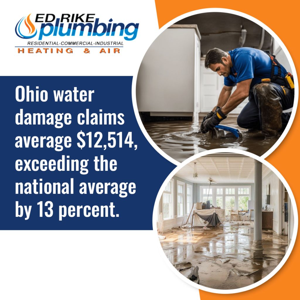 Why Do Miamisburg Residents Need Emergency Plumbing Services Year-Round?