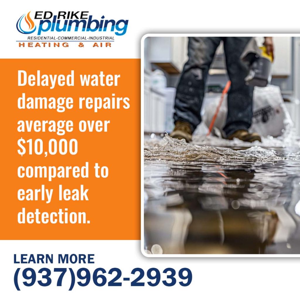 Water leak inspection