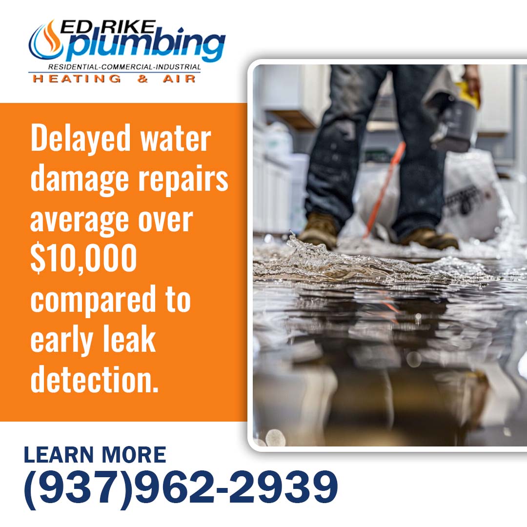 What Does Professional Leak Detection Cost, and Is It Worth It? 4 Water leak inspection